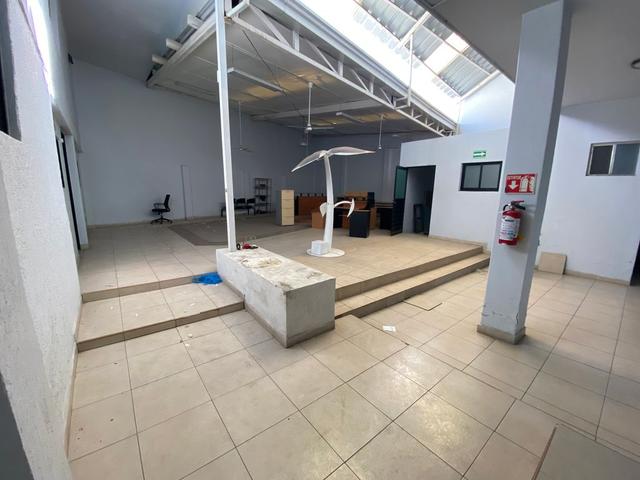 Foto de la galeria de imagenes